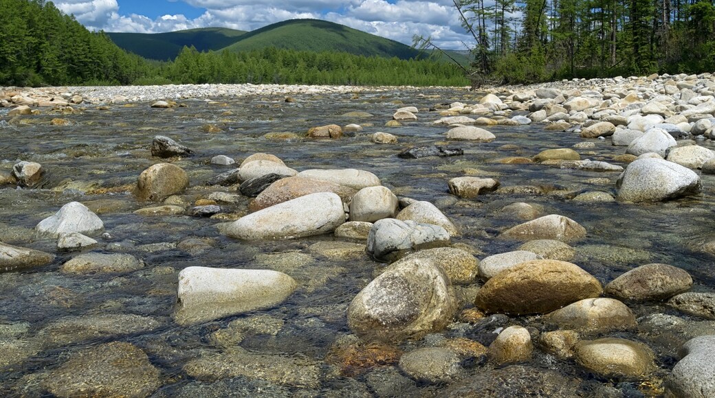 District Verkhnebureinsky