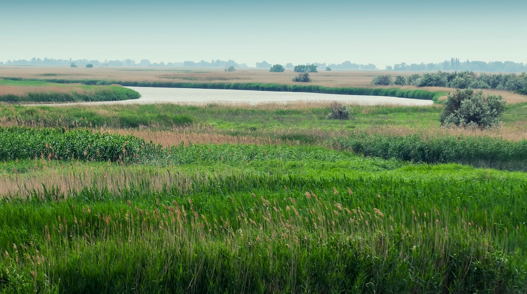 View of steppe and upper river Don in Russia. Beautiful summer landscape.