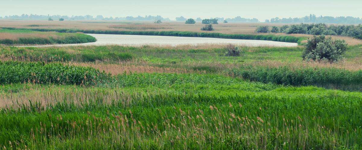 View of steppe and upper river Don in Russia. Beautiful summer landscape.
