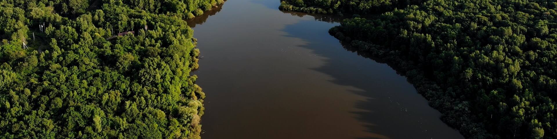 Nature on the Amur River in Russia. Aerial perspective revealing winding river threading verdant woodland landscape with serene, serpentine waterway