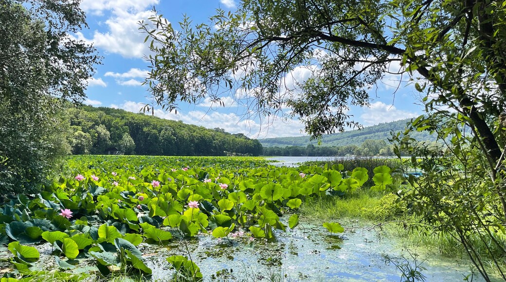 District d'Arsenyevsky