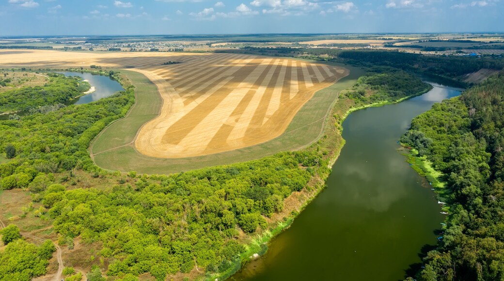 District de Susaninsky