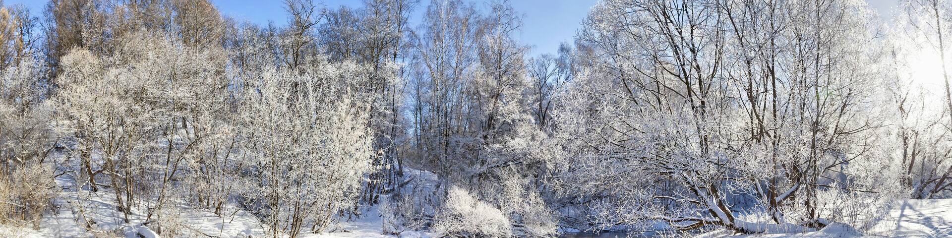 Winter landscape of river Istra