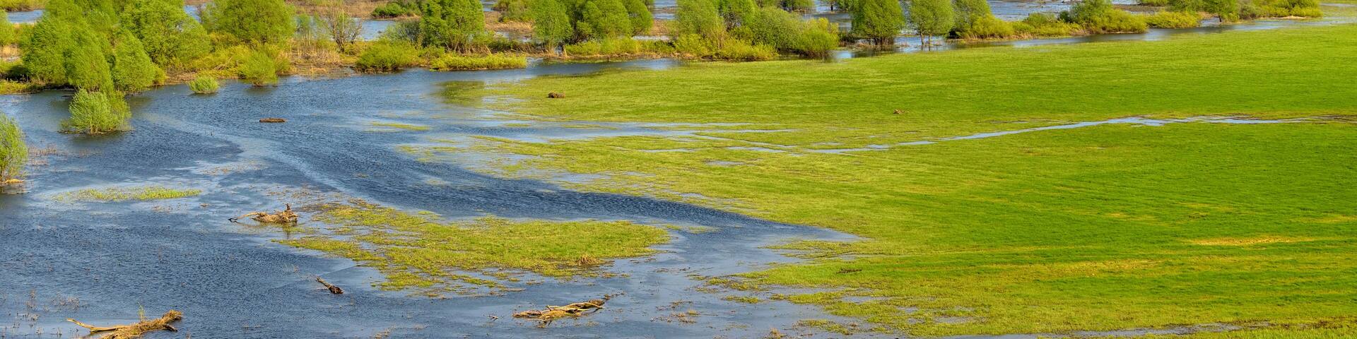 Panoramic photo. Horizontal landscape: the river flooded the valley. River and the field on a sunny summer day. Voroninsky National Park, Tambov Oblast, Russia.