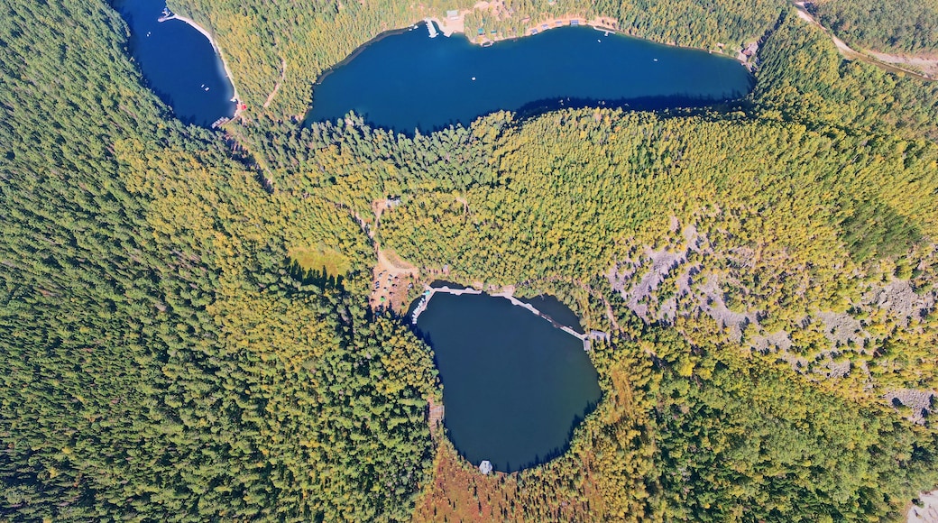 District de Iznoskovsky