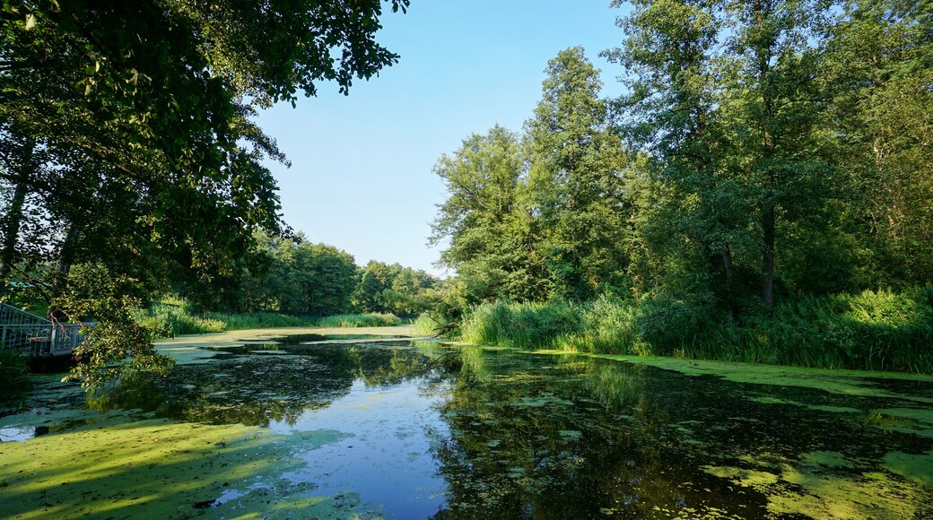 District de Bobrovsky