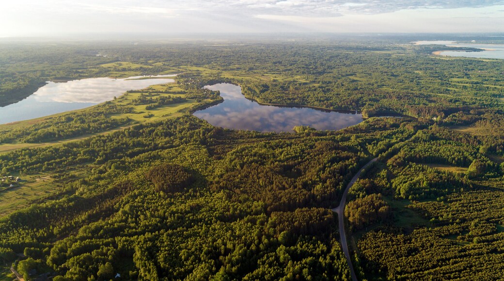 District d'Andreapolsky