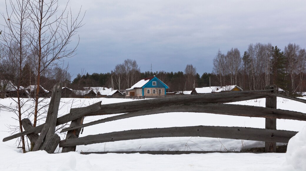 Посёлок Подгородье в Вельском районе Архангельской области