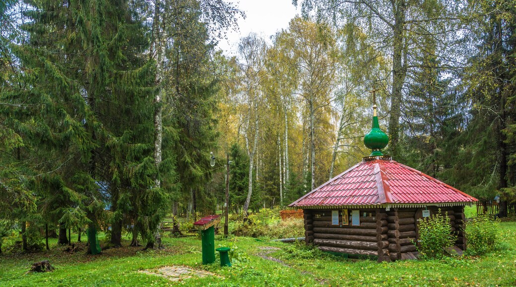 District de Poshekhonsky