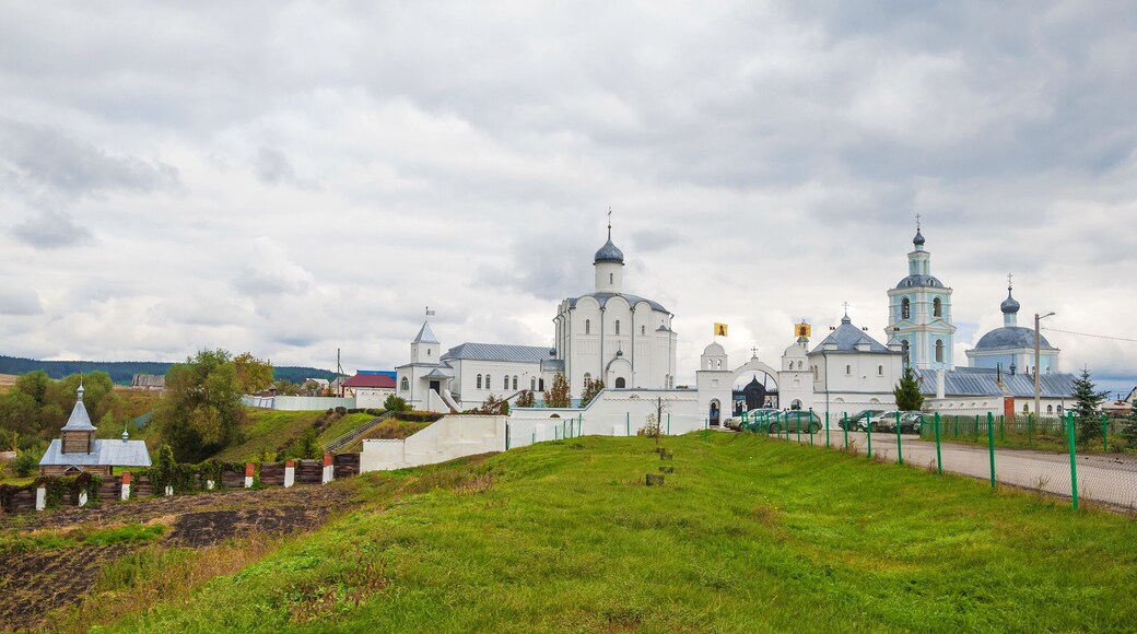 District de Tyomkinsky