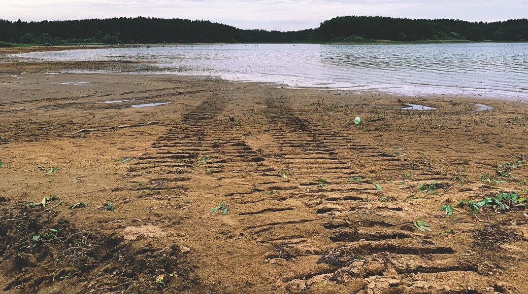 Welcome to a very calm place where you can relax and enjoy the nature;)