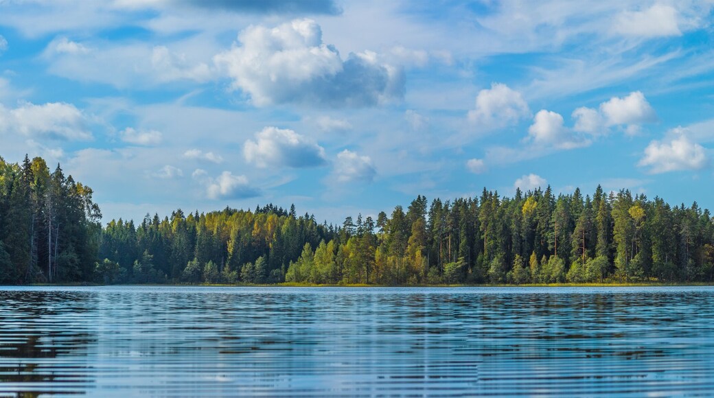 District de Ponazyrevsky