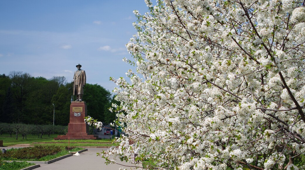 District de Michurinsky