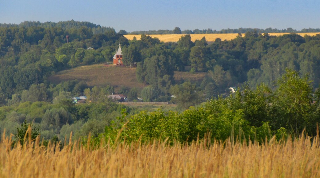 District de Kasimovsky