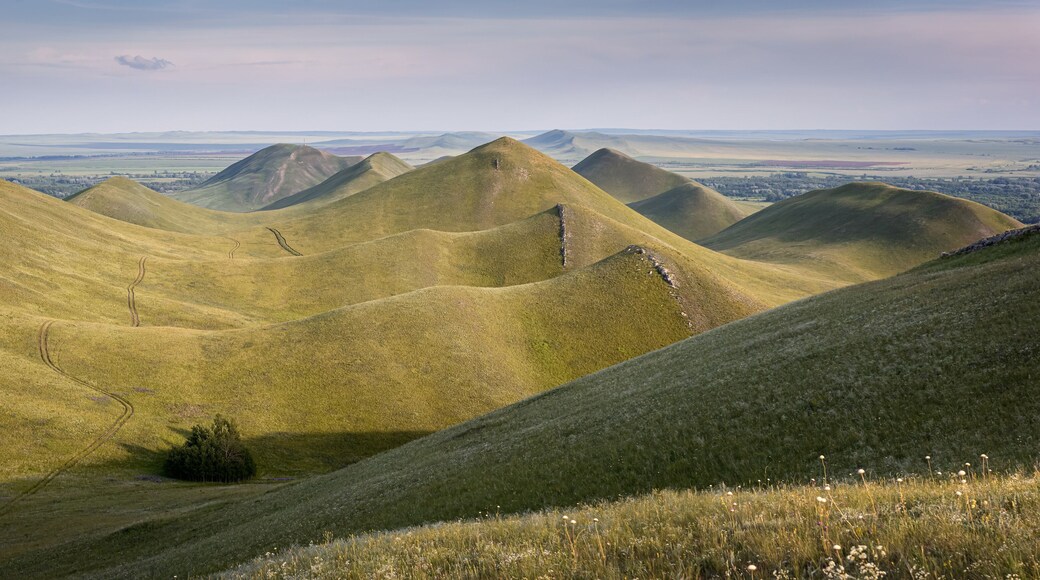 Ural Mountains in the Orenburg region of Russia in June