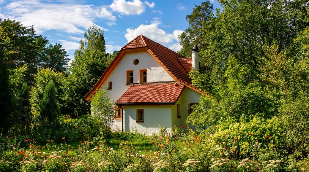 Distrito Vyshnevolotsky