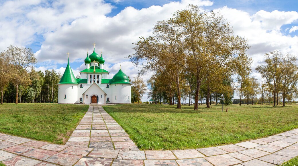 District de Kurkinsky