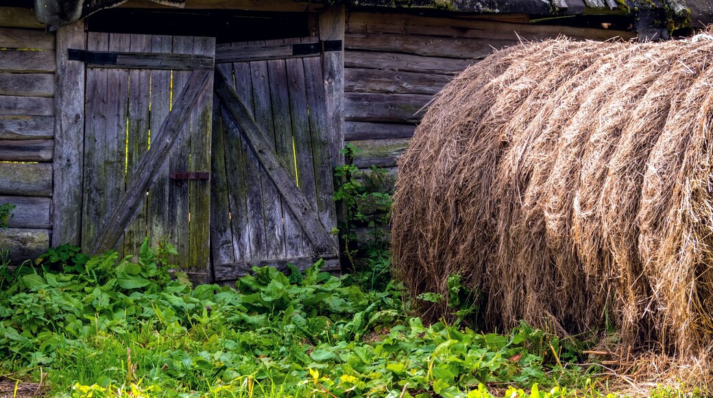 District de Kastorensky