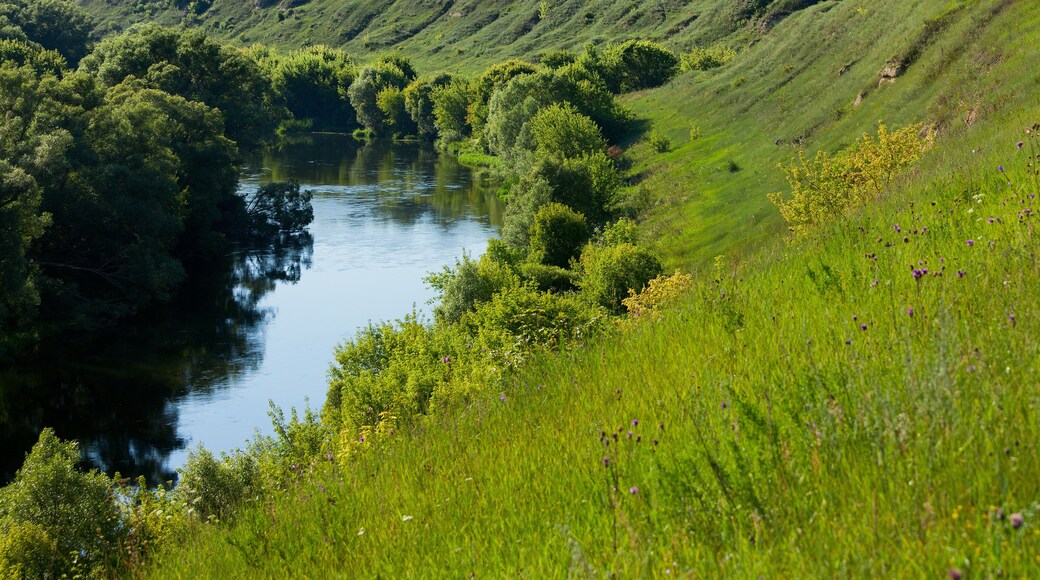 District de Mtsensky