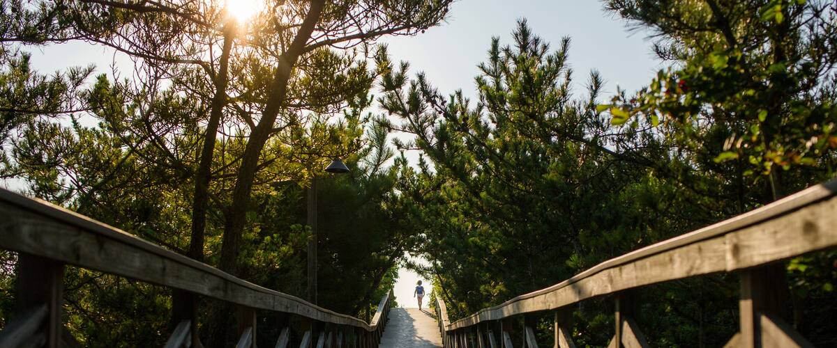 A small child is silhouetted in the distance at end of long boardwalk