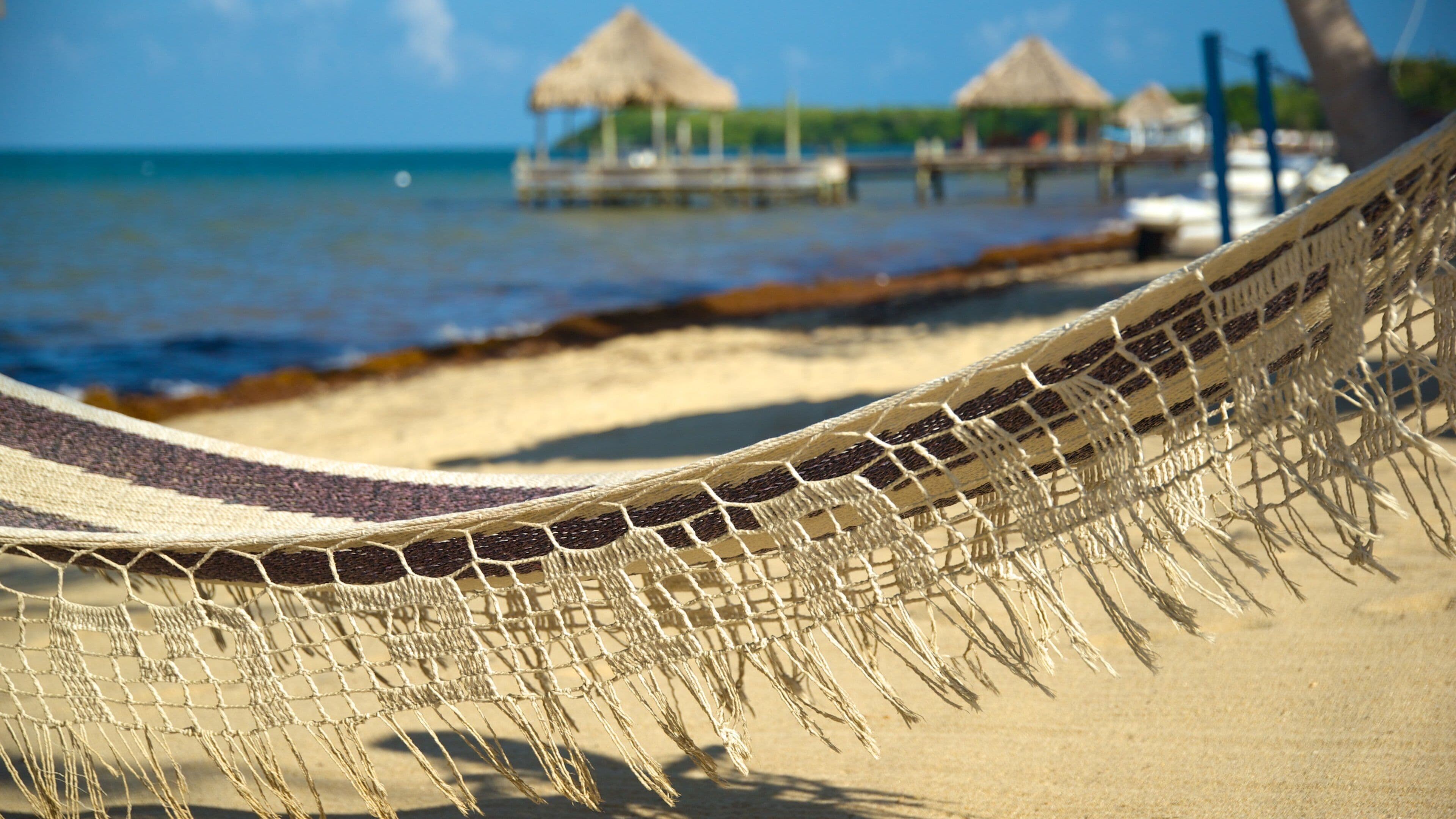 Hopkins showing general coastal views