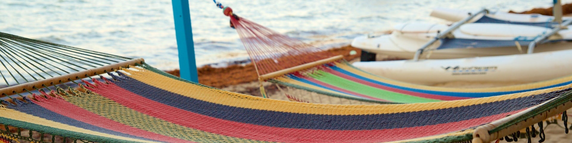 Hopkins showing a beach