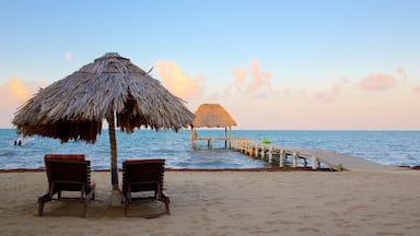 Hopkins showing a sunset, general coastal views and a sandy beach