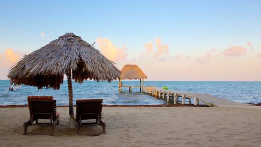 Hopkins que incluye vista general a la costa, una playa y un atardecer