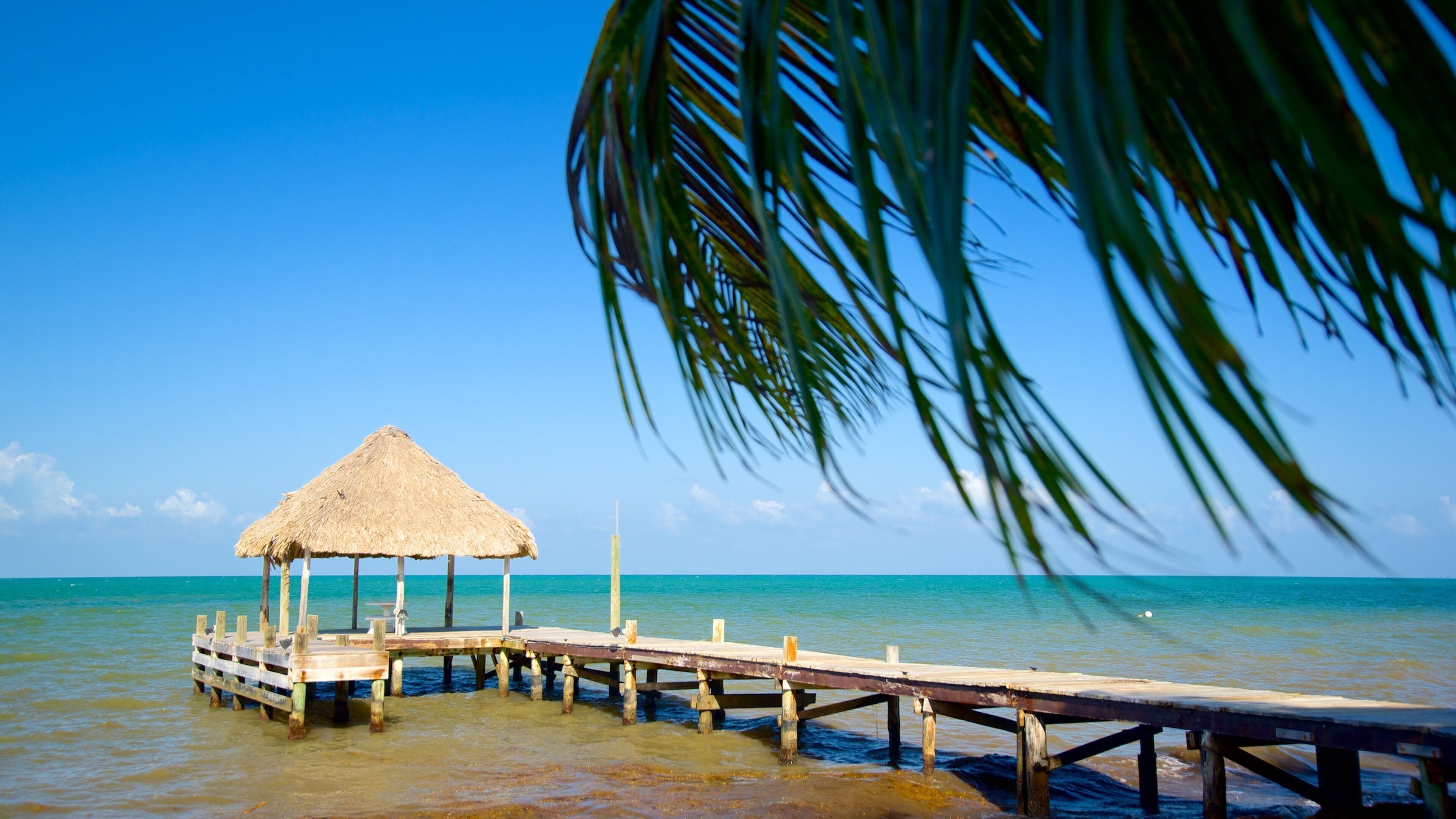 Hopkins which includes general coastal views