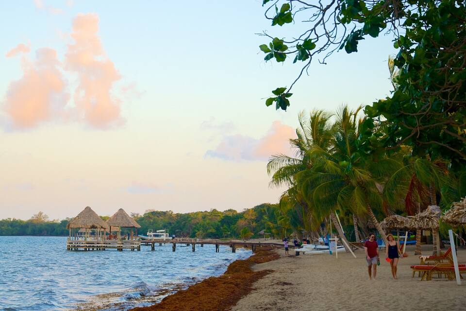 A beach with thatched-roof huts, palm trees, and a pier extending into the water.