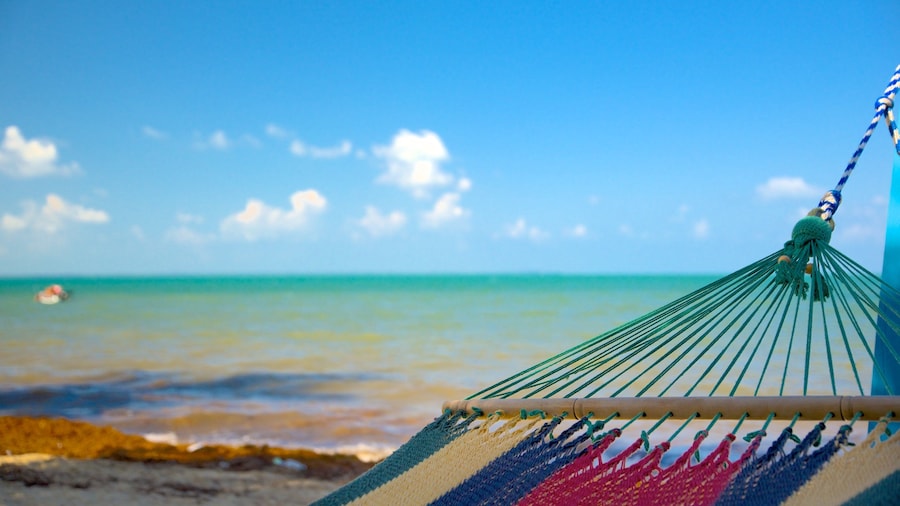 Hopkins Village Beach showing general coastal views