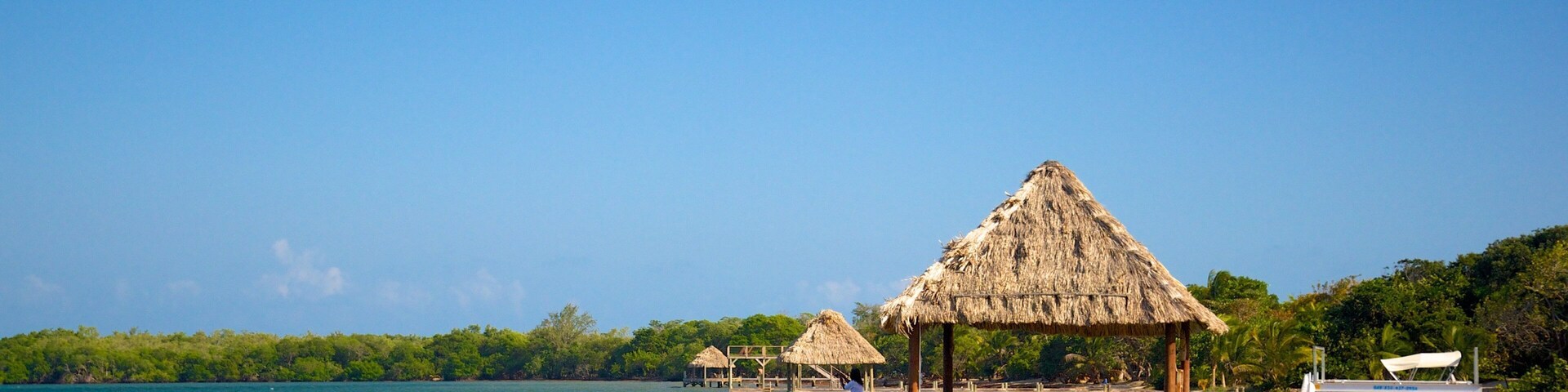 Hopkins which includes tropical scenes and general coastal views