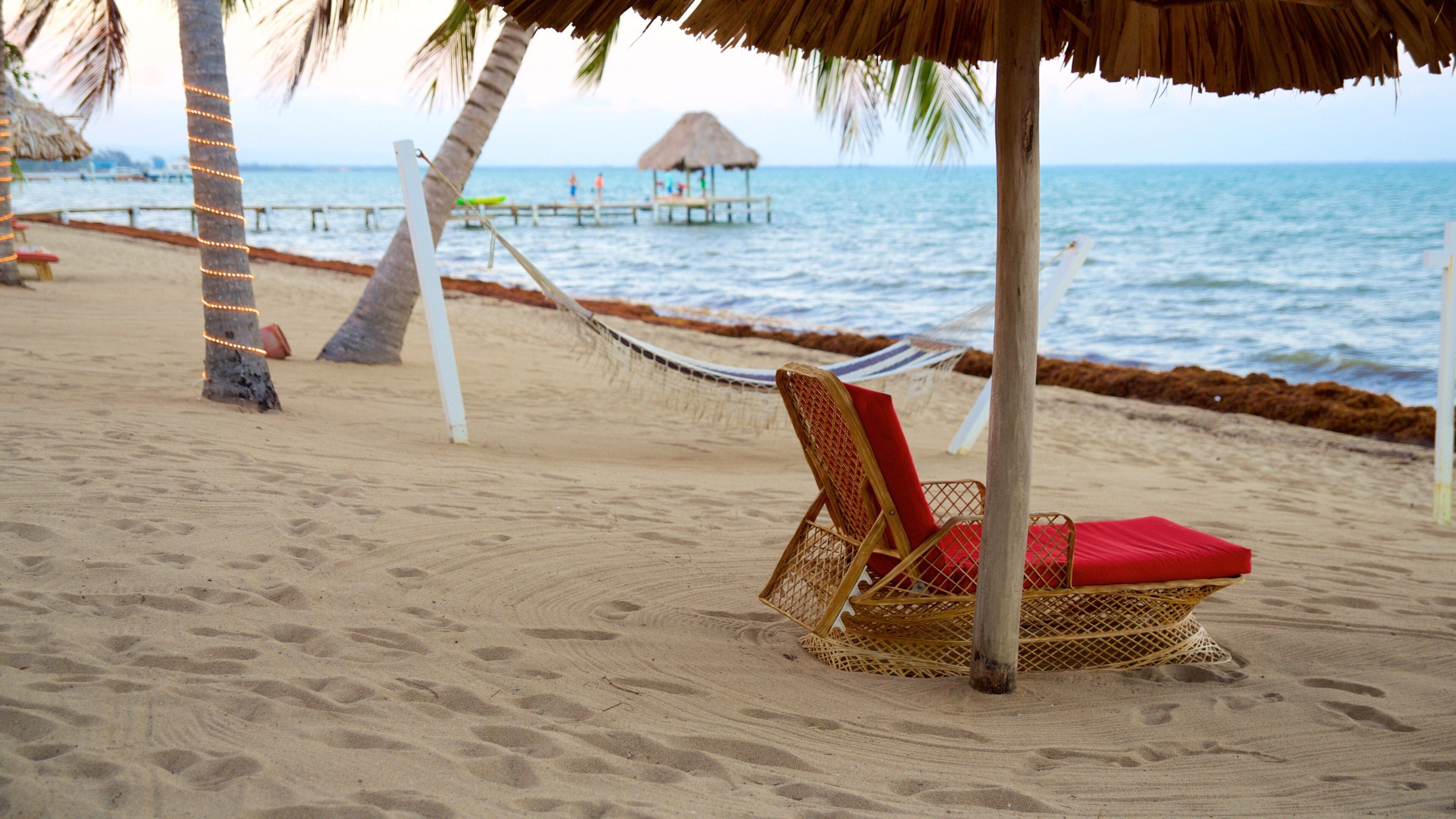 霍普金斯 呈现出 一般的海岸景觀 和 海灘