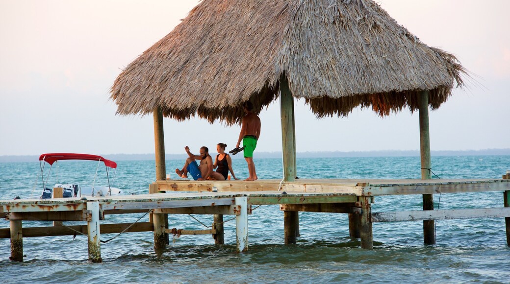 Hopkins featuring general coastal views