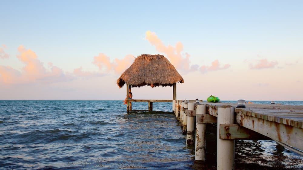 Hopkins showing general coastal views