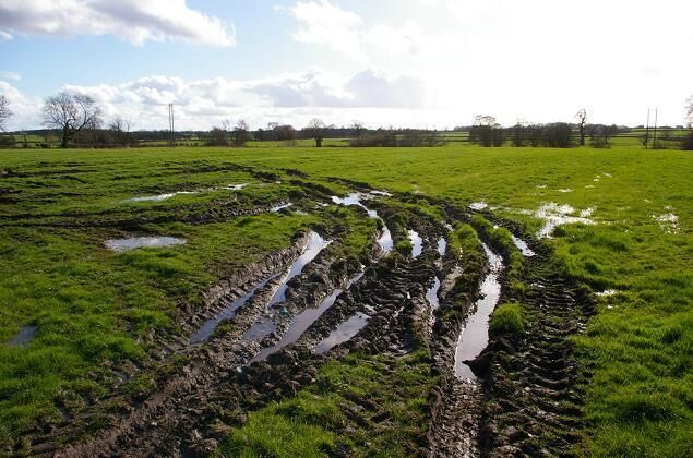 Muddy field in Worthenbury