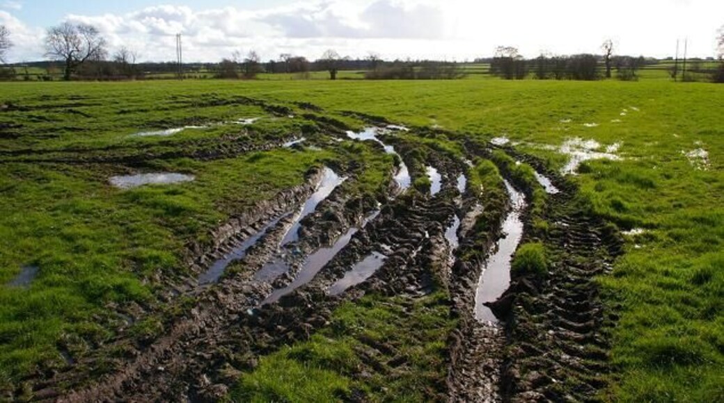 Muddy field in Worthenbury