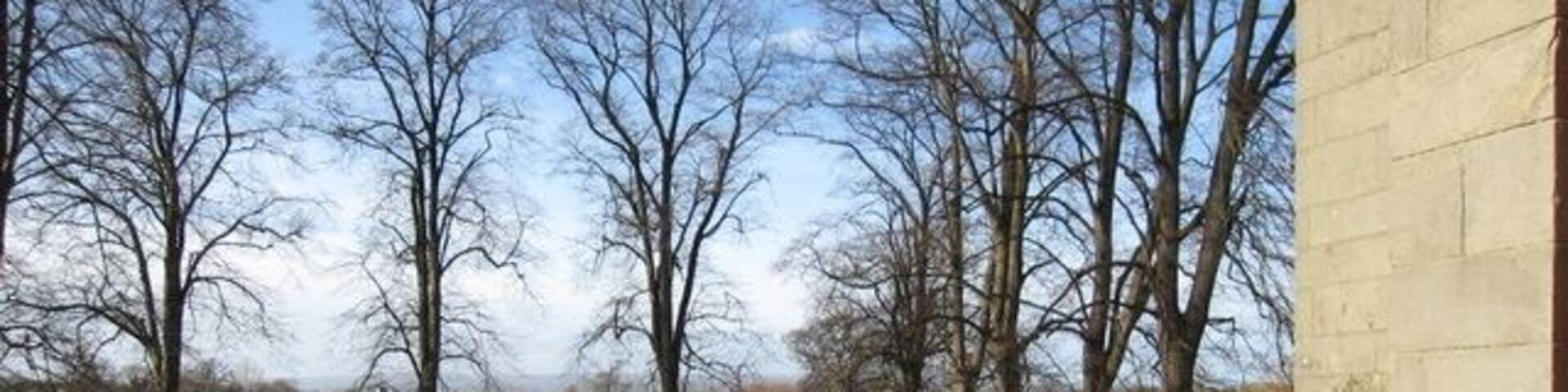 St Deiniol's, Worthenbury - graveyard. A short avenue of clipped yews flanks the path through the graveyard. On the right hand side of the photo is a benchmark by the door to the church - see 1129475.