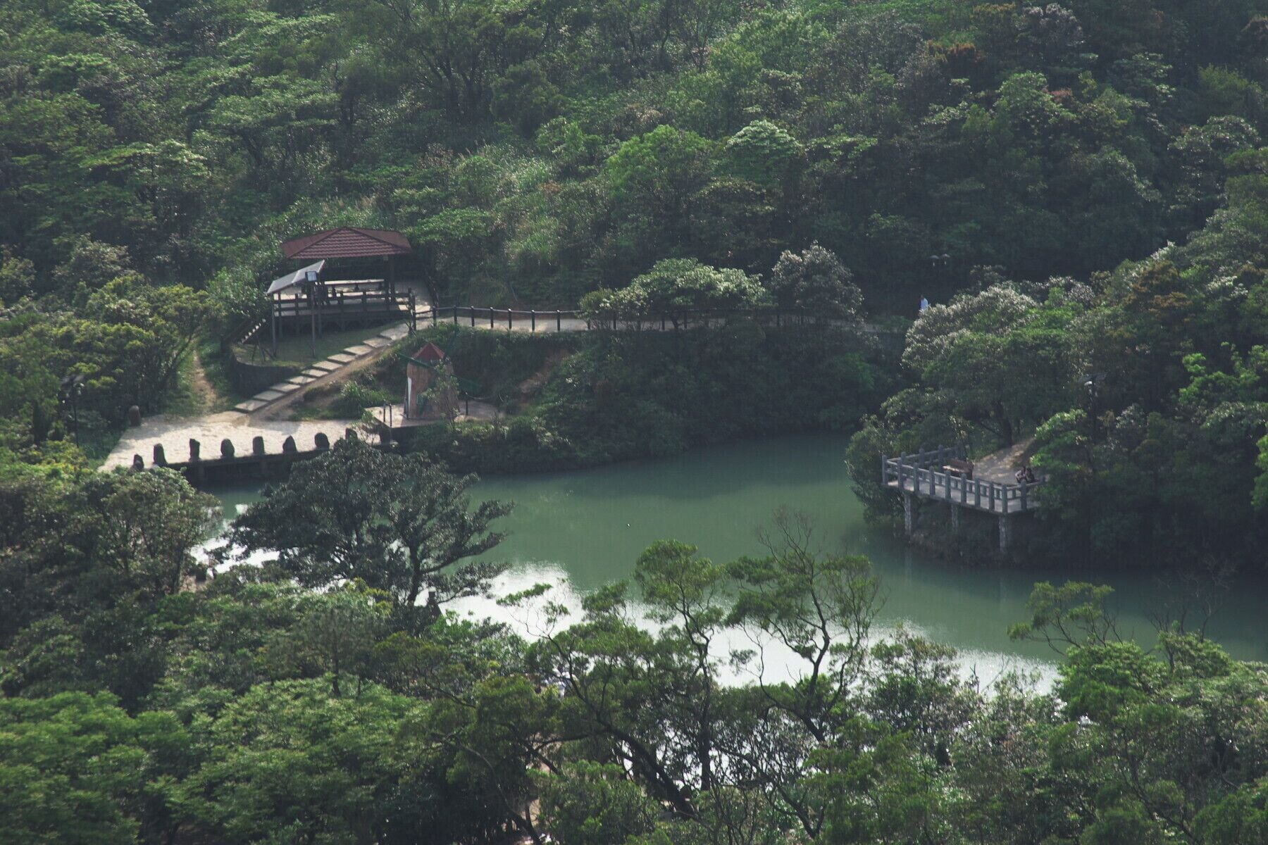 A tranquil river surrounded by dense forest, with a wooden bridge and a small pavilion.