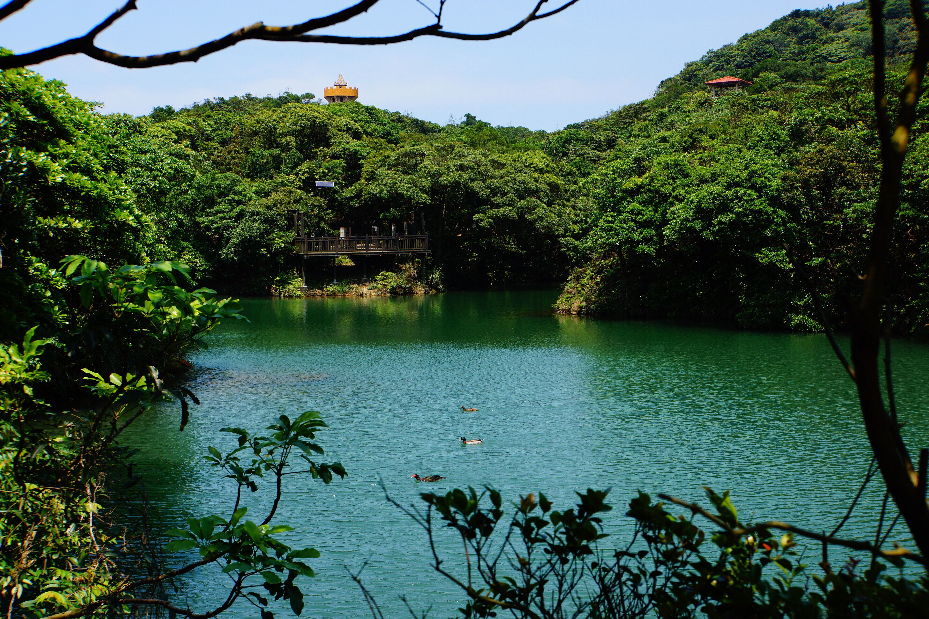Lovers Lake 情人湖