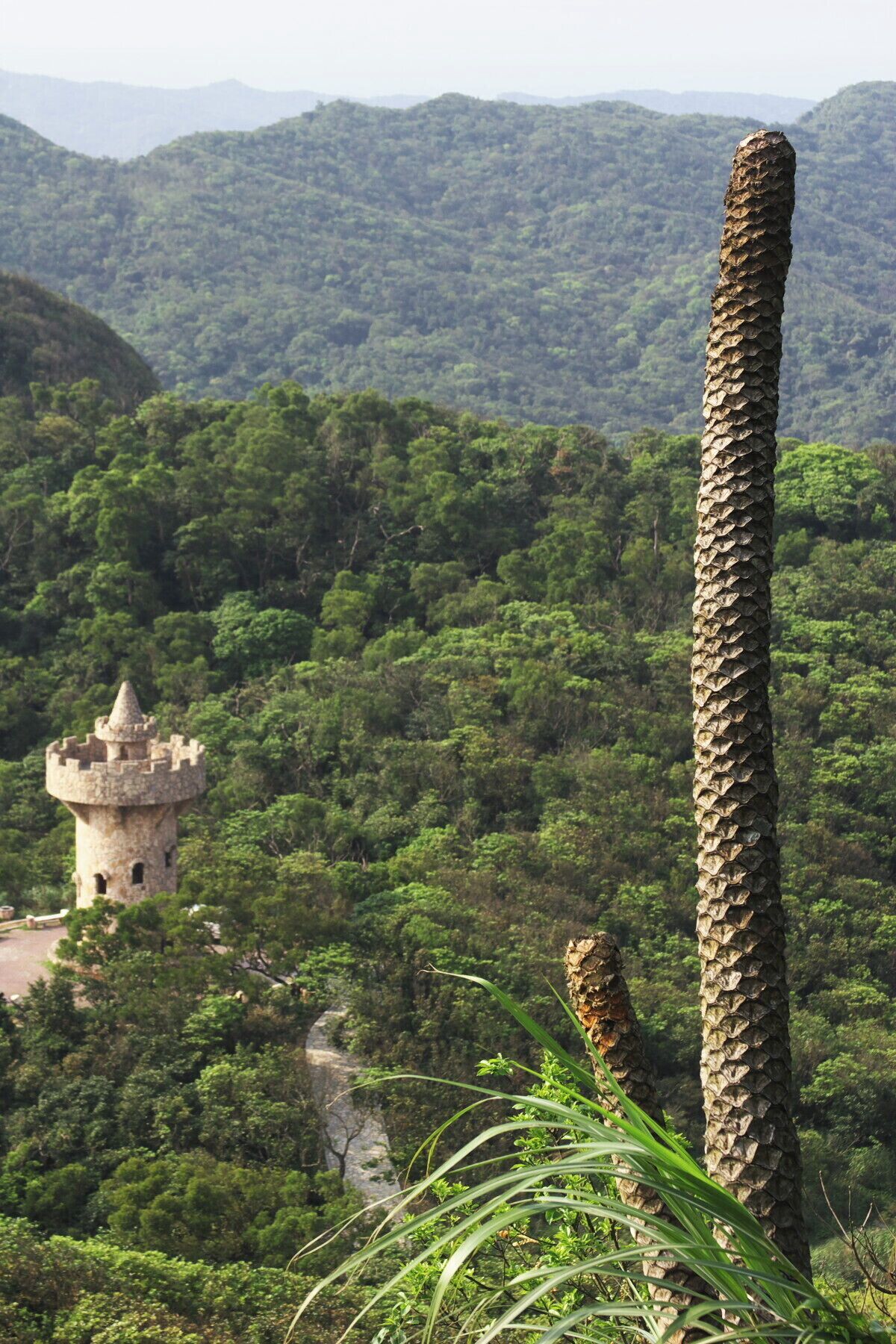 A tower amidst a forested landscape with mountains in the background.