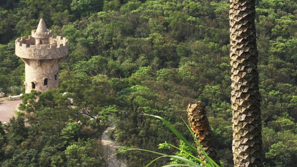 A tower amidst a forested landscape with mountains in the background.