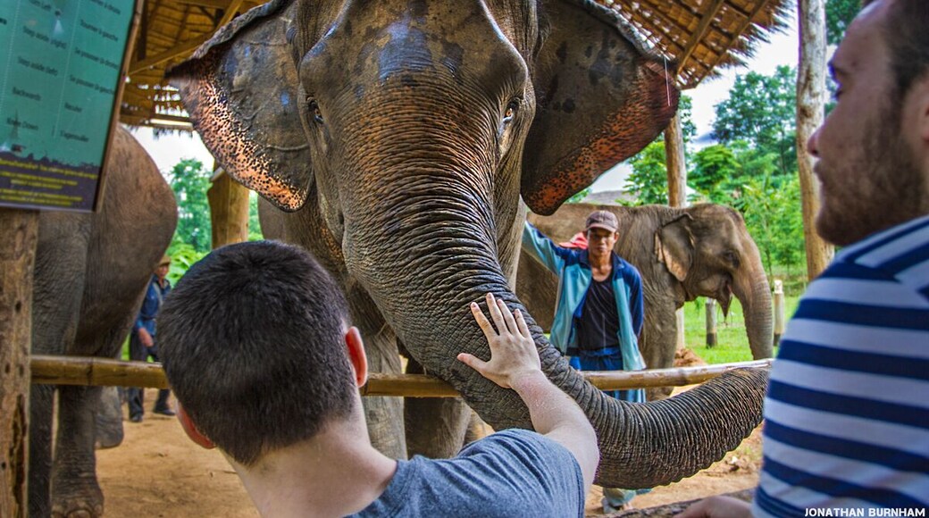 Welcome to the Elephant Conservation Center (ECC) in Laos. This center is also a lodge that has several huts you can stay in. Staying here for three days made my three week trip to Southeast Asia. By far the highlight of my trip!
They truly care about the elephants at ECC and sadly that is not something you see at all elephant camps in SE Asia.
The staff was amazing and provide an incredible atmosphere to learn about elephant conservation. I would highly recommend anyone wanting to see elephants in Asia to come here.
You can see an read more about ECC in a photo essay I wrote: http://bit.ly/1Ji7cvB
I also made a short video about their Baby Bonus Program that supports baby elephants in the area: https://youtu.be/aAonj8NF8HA
(Warning: Extremely cute baby elephant footage.)