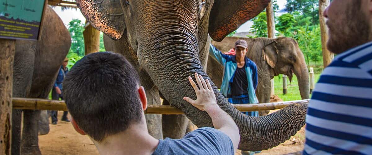 Welcome to the Elephant Conservation Center (ECC) in Laos. This center is also a lodge that has several huts you can stay in. Staying here for three days made my three week trip to Southeast Asia. By far the highlight of my trip!
They truly care about the elephants at ECC and sadly that is not something you see at all elephant camps in SE Asia.
The staff was amazing and provide an incredible atmosphere to learn about elephant conservation. I would highly recommend anyone wanting to see elephants in Asia to come here.
You can see an read more about ECC in a photo essay I wrote: http://bit.ly/1Ji7cvB
I also made a short video about their Baby Bonus Program that supports baby elephants in the area: https://youtu.be/aAonj8NF8HA
(Warning: Extremely cute baby elephant footage.)