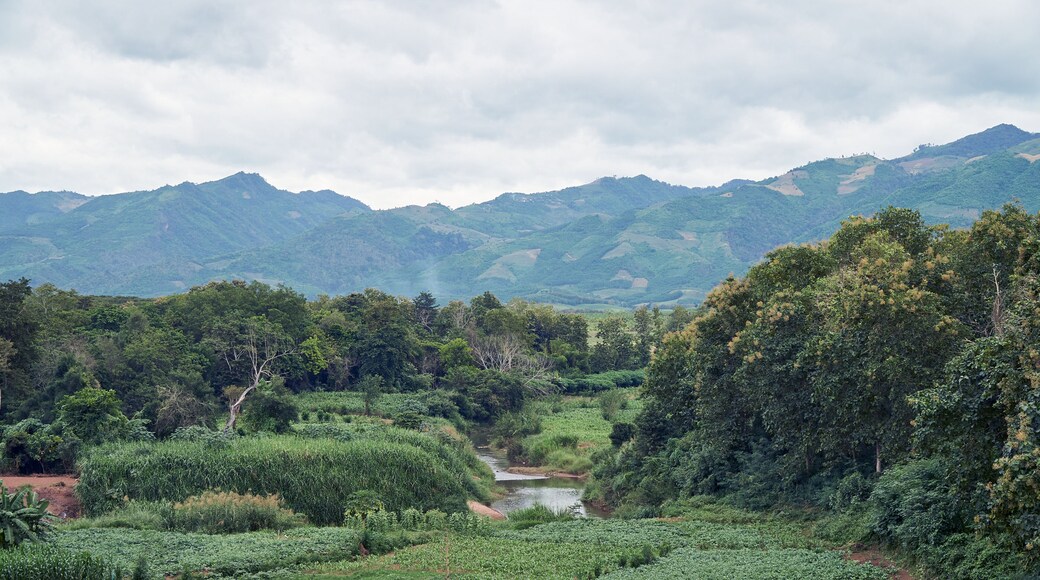 Exterior View of Corn Farm in Houn District, Oudomxay Province, Laos. Green Farm and Peaceful Place in Asia.