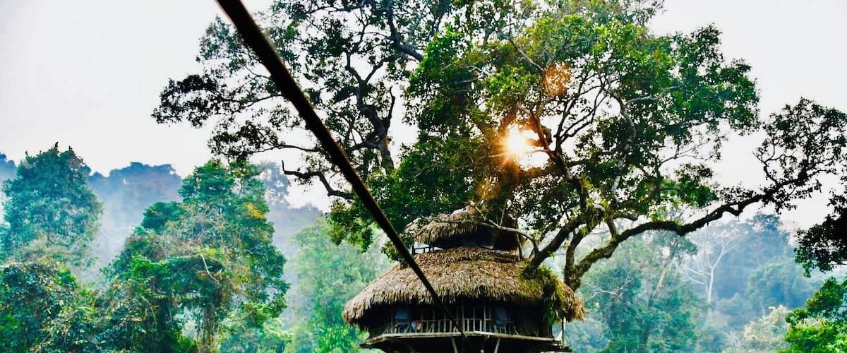 Unforgettable treehouse stay - only way to get here is via several zip lines - some as long as 450 meters.