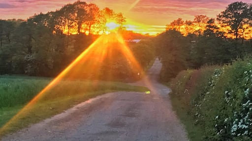 Some evenings are just dreamy!!!