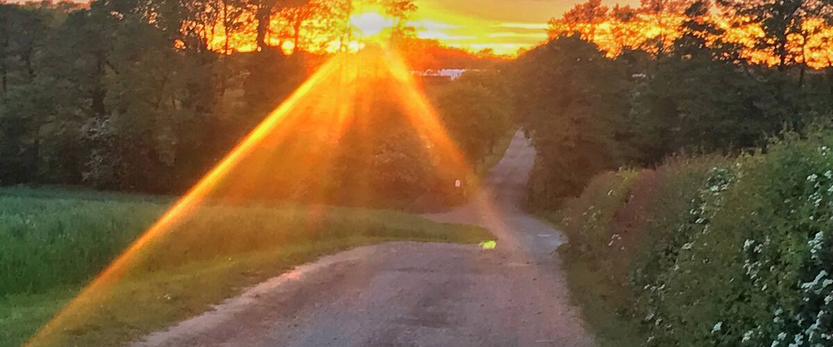 A rural road with a sunset in the background.