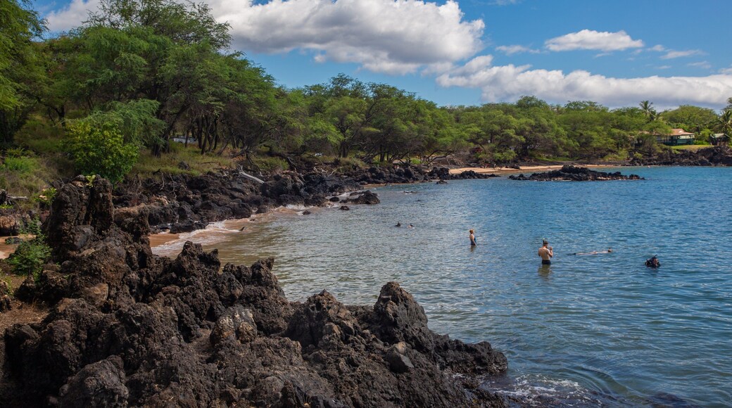 Makena Landing Park showing general coastal views and snorkeling as well as a small group of people