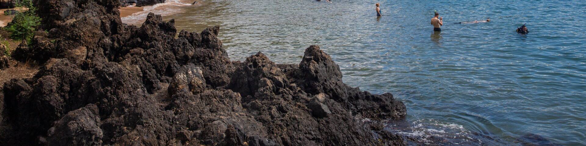 A coastal area with rocky shores, clear blue water, and lush greenery.